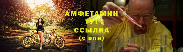метадон Алексин
