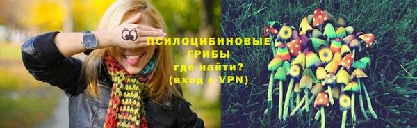 крисы Алзамай