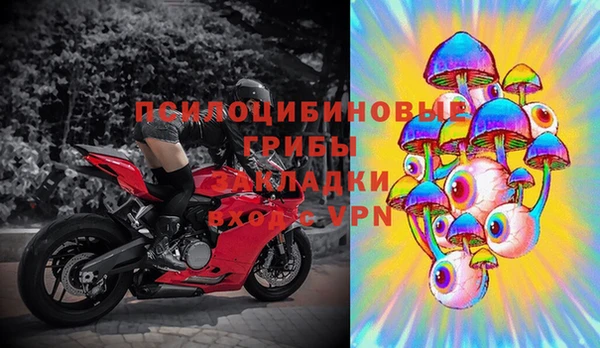 метадон Алексин