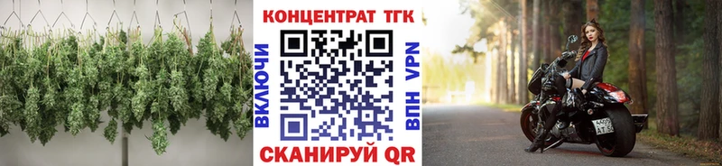 купить  цена  Сосновоборск  ссылка на мегу   Дистиллят ТГК гашишное масло 