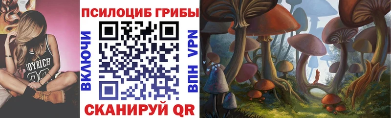 где продают Сосновоборск OMG tor Псилоцибиновые грибы мицелий